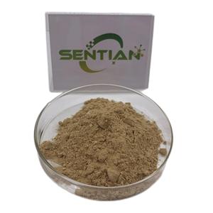 <span class=keywords><strong>Arctostaphylos</strong></span>/poudre d'acide ursolique extrait de feuille de busserole extrait de feuille d'uva ursi - Product Image 1