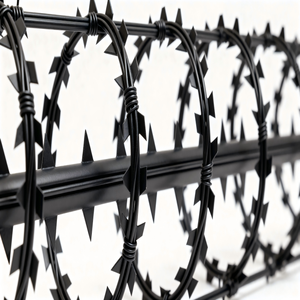 높은 인장 뜨거운 담근 아연 도금 스테인레스 스틸 크로스 면도기 가시 와이어 2.0mm 200m/200m/300m/360m 보안 울타리 - Product Image 1