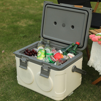 Lldpe étanche 21L Fashion Camping Cuisine Haut-Parleur Glacière Glacière Portable avec Haut-parleurs