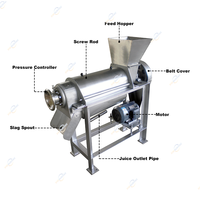 Industriële fruitsap schroefpersmachine extractor voor het maken van fruit- en kokosmelk, inclusief was- en verwerkingslijn