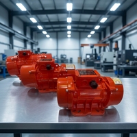 Moteur vibrant industriel OLI WOLONG 0,55 kW 0,37 kW 0,75 kW 1,1 kW 380 V triphasé pour machine à briques industrielle