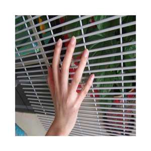 Hoge Veiligheid Gegalvaniseerde Gelaste Gaashekken 358 Anti-Klim Veiligheidshek Voor De Industriële Grens Van De Luchthavengevangenis - Product Image 5