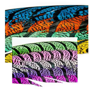 Bán Buôn Chất Lượng Cao Phụ Nữ Ngựa Vằn Gà lôi Đầy Màu Sắc Lông 25-45Inch Cho Lễ Hội Trang Trí - Product Image 4