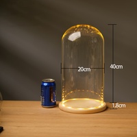 Cloche décorative de Noël Mini cloche en verre clair avec lumière LED
