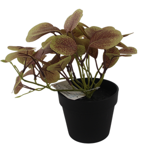 <span class=keywords><strong>Sen</strong></span> Masine realista 30cm pequeña vegetación Artificial hojas falsas <span class=keywords><strong>planta</strong></span> de dinero de imitación para el hogar Mesa de Oficina Decoración colgante interior - Product Image 3