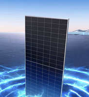 Panneaux solaires Trina Solar Tier 1 710W 715W 720W Vertex N I-TOPCon Mono Bifacial Dual Glass TSM-NEG21C.20 Modules PV