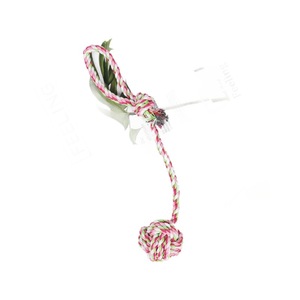 Ensemble de jouets en corde pour chien, jouets à mâcher en coton pour chiens, paquet de 4 pièces - Product Image 5