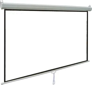 TELON OEM/ODM Amazon/Education Wholesale Manual Pull Down Projector Projection Screen for School