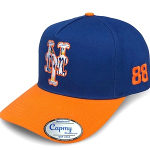 Casquette de baseball unisexe vierge de haute qualité, design personnalisé, imperméable, en coton, avec broderie 3D, nouvelle collection, style fruit, visière plate - Product Image 2