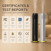 Diffuseur d'arômes électrique sans eau à nébulisation avec contrôle, rechargeable, pour la maison, l'hôtel et l'usage domestique