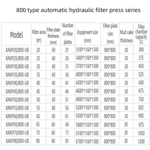 Automatic Plate Filter Press Filter Press Equipment