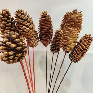 Factory Supple Dried Flower Pine Cone Real Natural Dried <strong>Pinecone</strong> for Christmas Decoration - Product Image 6