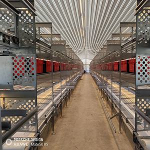 Europe et Australie Nid de ponte de poulets Ferme Cage de collecte d'œufs Volaille en liberté Poule Éleveur automatique Couche à rouler - Product Image 6