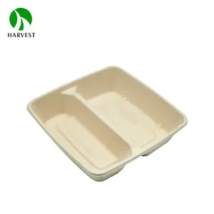 Bagasse 8x8 Zoll 2 Fach Zuckerrohr Zellstoff Faser Lebensmittel verpackung Lunchbox Behälter mit Deckel