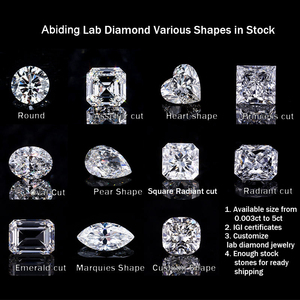 Abiding 5mm Round Excellent Cut Loose Diamond DEF VVS VS IGI Certificate Lab Diamond Certified 0.5 Carat Diamond - Product Image 5