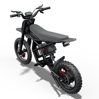 Vélo électrique Ridingtimes GT54PRO avec suspension hydraulique avant, vélo tout-terrain électrique, conduite confortable