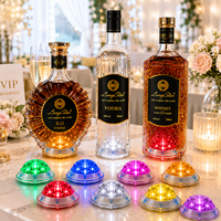 Longstargift Éclairage LED pour Bouteilles à Haute Luminosité, Présentoir à Vin pour Boîte de Nuit, Marque Privée