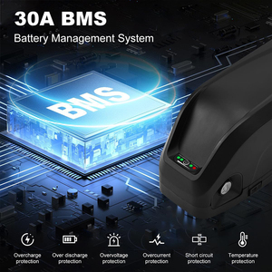 Đông Quan nhà sản xuất 36V 48V 52V 10AH 12Ah 15ah 16ah hailong Xe đạp điện pin 36V Pin Xe Đạp gói cho xe đạp điện - Product Image 3