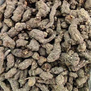 Tiankui Zi Mil años Mierda de rata cruda seca procesada por tipo de procesamiento de anuncios - Product Image 1