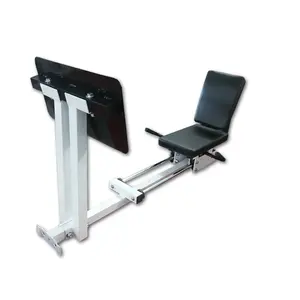 leg and Ab exercise machine commercial gym equipment HRSB35