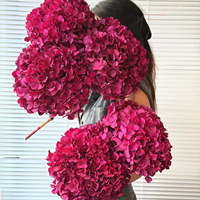 Fleur séchée d'hortensia à grandes feuilles, naturelle, de qualité supérieure, vibrante, résistante aux chocs, pour la décoration de vitrine (vente en gros)