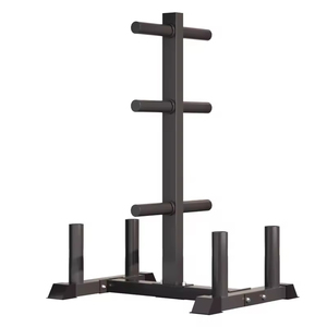Soporte Vertical para Discos de Pesas Plegable de Acero Resistente para Gimnasio, con Características de Seguridad - Product Image 1