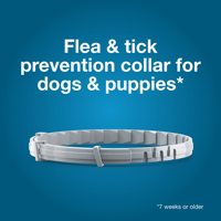 Collier anti-puces et tiques en silicone souple et confortable avec rubans pour chiens et chats – Offre spéciale – Sécurité durable pour animaux de compagnie