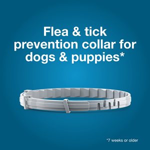 Collier anti-puces et tiques en silicone souple et confortable avec rubans pour chiens et chats – Offre spéciale – Sécurité durable pour animaux <span class=keywords><strong>de</strong></span> compagnie - Product Image 3