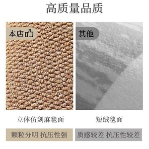 Coussin Tatami en Faux Sisal Cangming 81-90 en Fibre de Polyester Durable, Couverture de Canapé pour Tapis de Chaise - Product Image 3