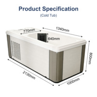 Bain de glace commercial tout-en-un en acrylique avec LED, spa et piscine à double cuve pour bain froid, avec refroidisseur et filtre, à vendre