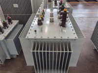 Transformateur de distribution électrique immergé dans l'huile 200KVA 400KVA 500KVA 625KVA, élévateur abaisseur haute, moyenne et basse tension