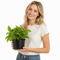 Meilleures ventes : Pot de fleurs contemporain pour balcon, jardin, ou balustrade, en plastique noir léger avec trou de drainage