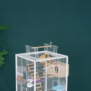 Cage à oiseaux élégante en fer doré avec plateau en plastique, support mobile, loquets verrouillables, design spacieux pour oiseaux de compagnie, décoration intérieure - Product Image 3