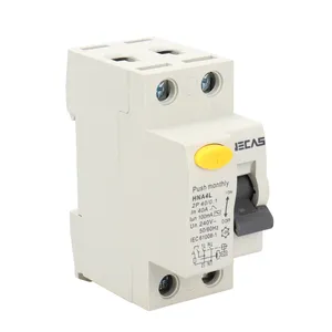 MCCB Mcbo المتبقية الحالية قطاع دارة عالية الجودة 2 القطب الصانع الجملة دعم OEM 25 أمبير 40amp 63amp مصغرة CN;ZHE