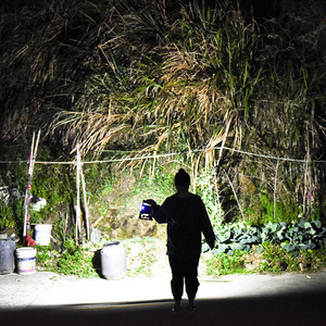 SRECHAPR65 65 65 65 65 65 65 65 65 65 65 GNCRCCTTTOOOORRRTT - Product Image 5