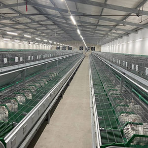 Allevamento di carne gabbia di allevamento di conigli con cintura di pulizia del letame commerciale - Product Image 1