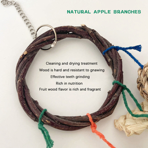 Hamster Jouets Naturel pomme Branche Tissé Anneaux Gâteaux D'herbe Boules D'herbe Balles Loofah Combinaisons Lapin Ronger Cordes De Dentition - Product Image 5