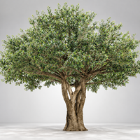 Arbre d'olivier artificiel réaliste pour les designers d'intérieur |   Végétation personnalisée de grande taille pour maisons de luxe, hôtels et espaces commerciaux