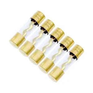 Gold Glass 10x38MM Fuse 0.39X1.5Inch 250V 30A/40A/50A/60A/70A/80A/100A/120A Fast Blow AGU Glass Fuse For Car Truck Marine RV