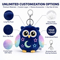 Porte-clés en peluche personnalisé Hibou Étoile Néon, Cadeau promotionnel pour casino, Service de conception sur mesure, Direct usine, Personnage original, OEM ODM