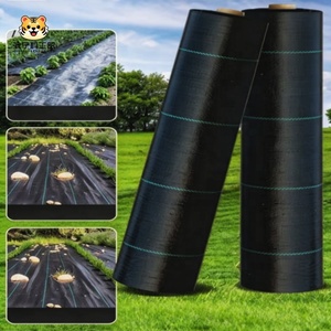 Oferta Especial: Malla Antihierbas de Plástico PP/PE para Control de Malezas, Tela para Paisajismo para Granjas y Huertos, Precio de Fábrica - Product Image 4