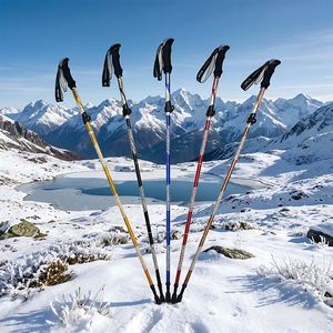 Bastones de senderismo telescópicos de 2 secciones con punta de goma antideslizante para caminar al aire libre - Product Image 1