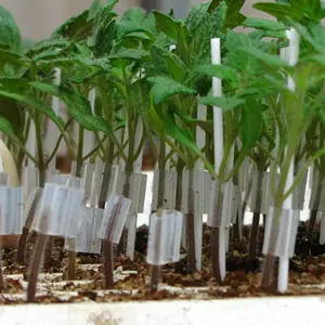 silicone grafting tube clips use for tomato grafting 1.2-3mm White Horticultural Grafting Clip