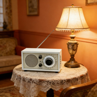 Radio portable OEM en gros avec logo personnalisé, certifiée CE, antenne longue haute sensibilité, 3 bandes AM FM SW, haut-parleur sans fil, USB TF MP3