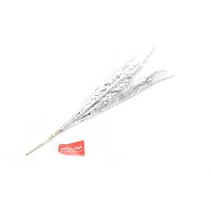 BRANCHES DÉCORATIVES EN ARGENT H 50CM - Product Image 1