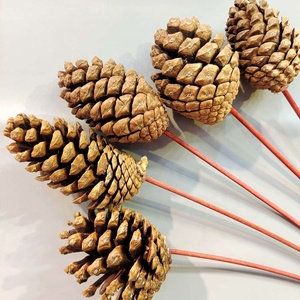 Venta al por mayor a granel Real Touch Natural seco decoración de Navidad flores y plantas cono de pino seco - Product Image 2