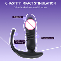 Vibrateur anal à télécommande pour hommes, plug anal pour la prostate avec recharge magnétique USB et fonctions vibrantes pour la masturbation