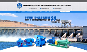 Horizontal Double Suction <b>Pump</b> High Split Case Booster <b>Pump</b> Centrifugal <b>Water</b> <b>Pumps</b> S Horizontal Double Suction <b>Pump</b> S - Product Image 5
