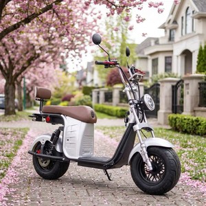 Scooter Brasileño Más Vendido, 1000w, 40ah, Suspensión Completa, Ruedas de Aluminio, Sensores Electrónicos, Impermeable, X26, Precio Especial - Product Image 1