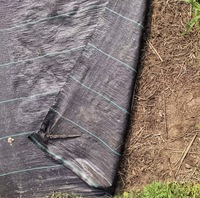 Nouveau tapis anti-corrosion noir en PP extrudé à faible coût pour le contrôle des adventices, protection environnementale, durée de vie 3-5 ans, agriculture, Shandong LV